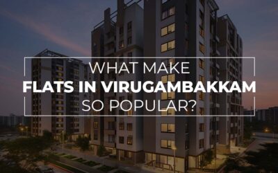 What Makes Virugambakkam a Hotspot for Property Buyers?